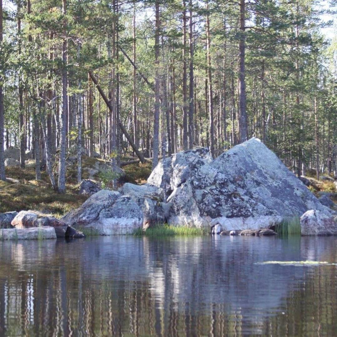 Hamra Stugby - Nature Adventures Hamra 外观 照片